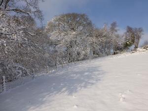 Time to get the toboggan out!